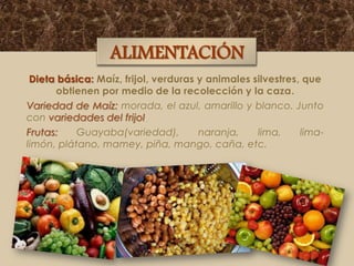 ALIMENTACIÓN
Dieta básica: Maíz, frijol, verduras y animales silvestres, que
obtienen por medio de la recolección y la caza.
Variedad de Maíz: morada, el azul, amarillo y blanco. Junto
con variedades del frijol.
Frutas:
Guayaba(variedad),
naranja,
lima,
limalimón, plátano, mamey, piña, mango, caña, etc.

 