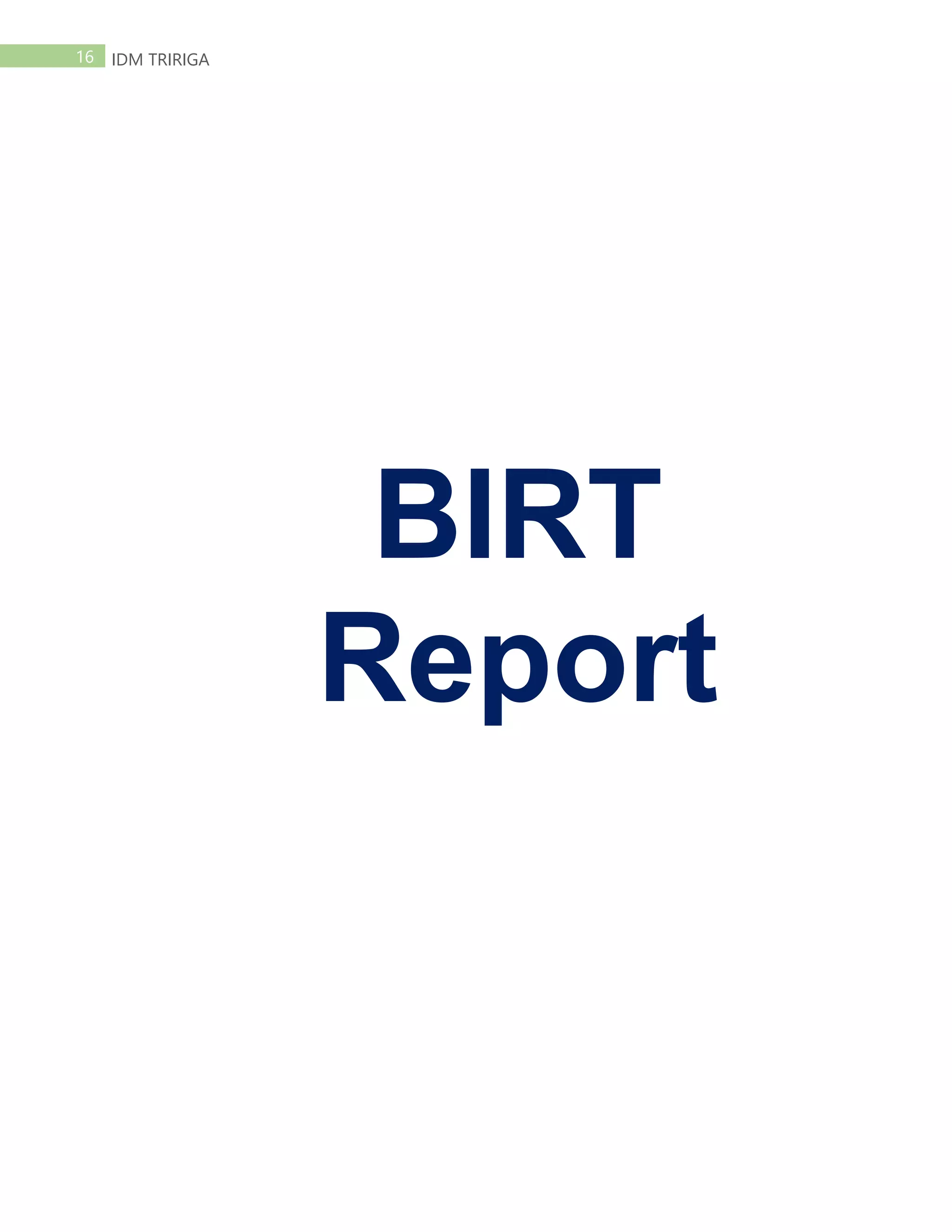16 IDM TRIRIGA
BIRT
Report
 