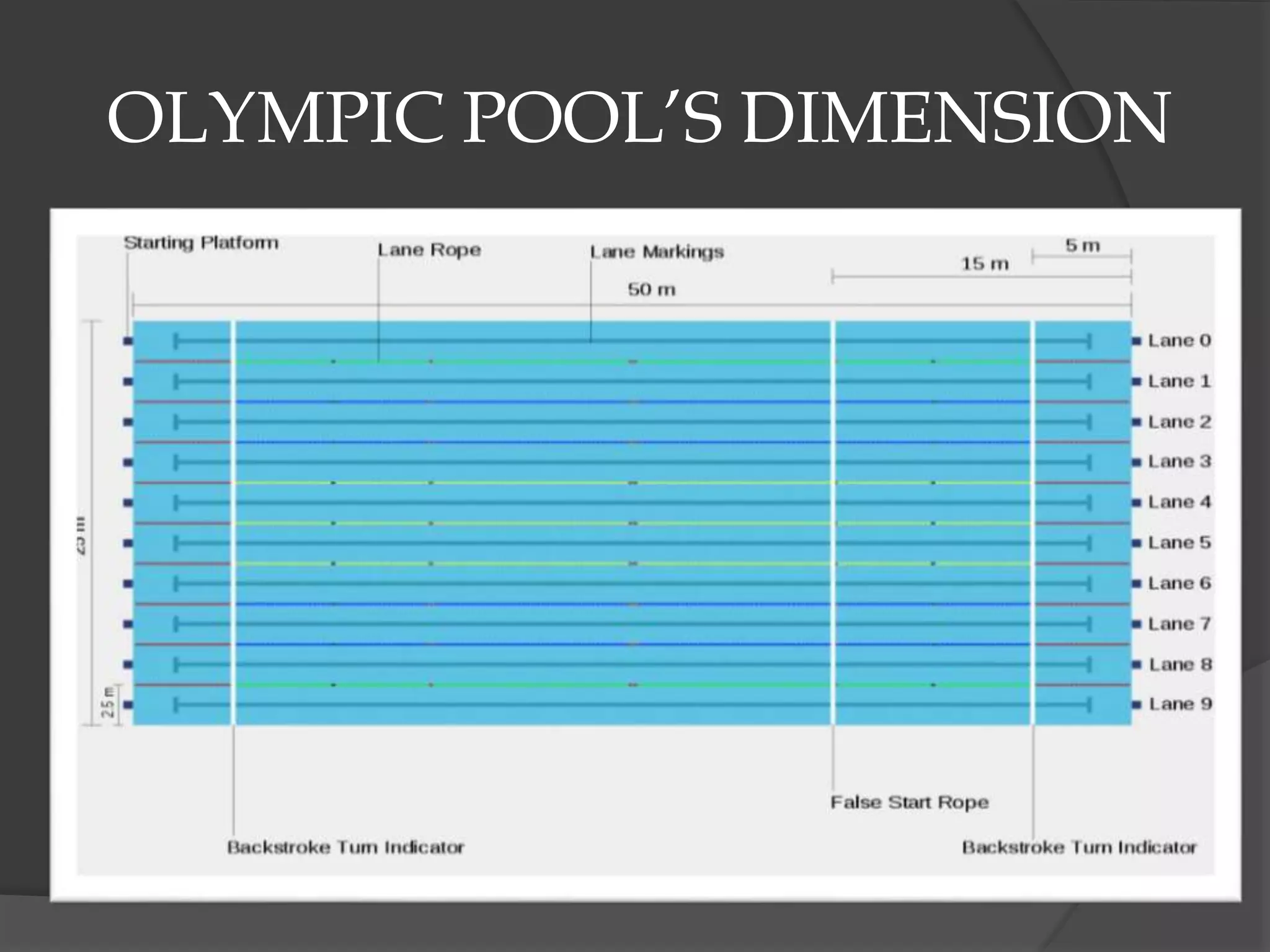 OLYMPIC POOL’S DIMENSION
 