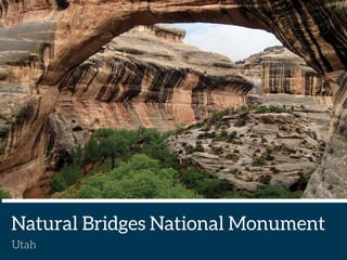 6 Natural Marvels You Must See - Trish Duggan