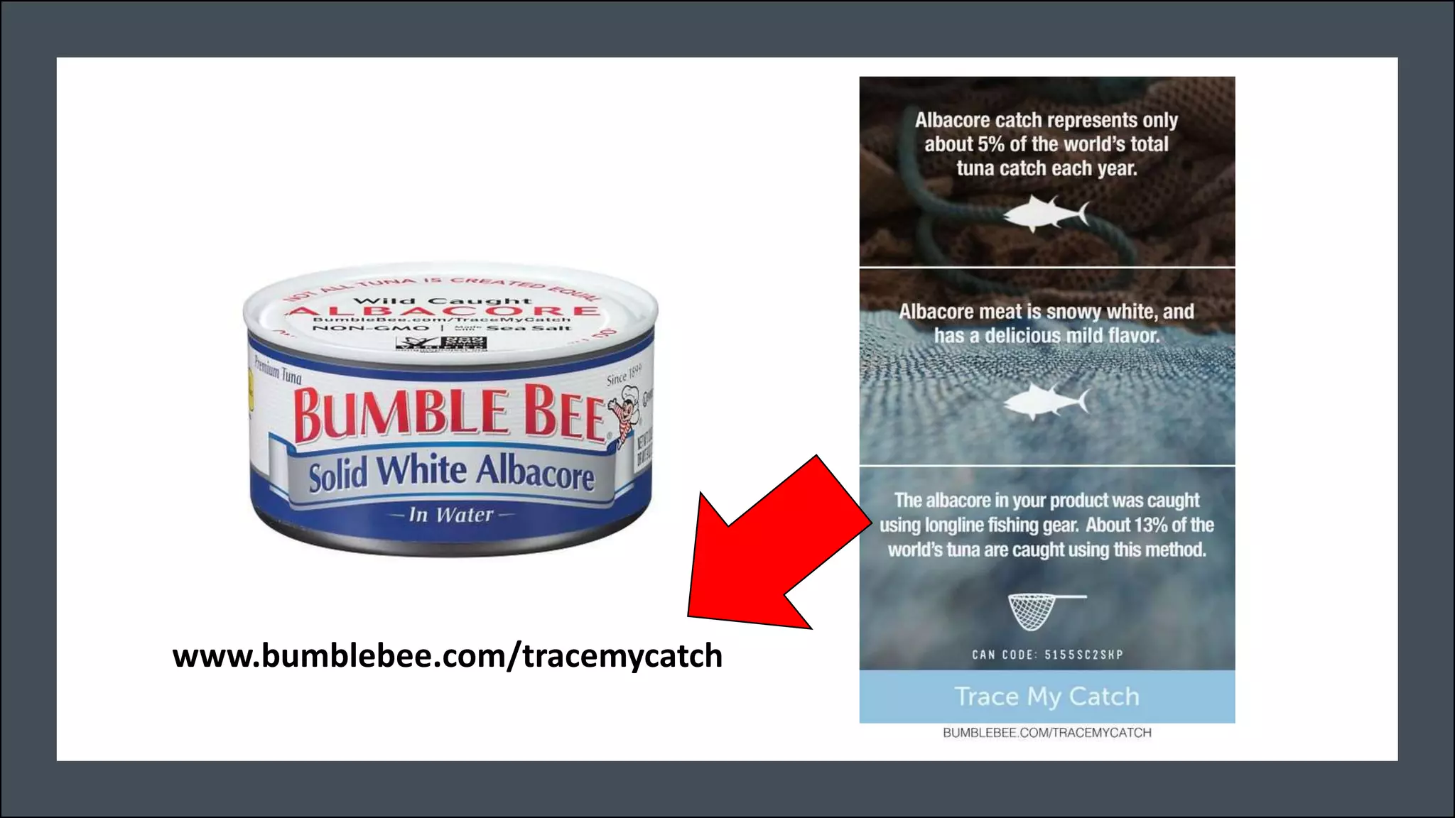 www.bumblebee.com/tracemycatch
 