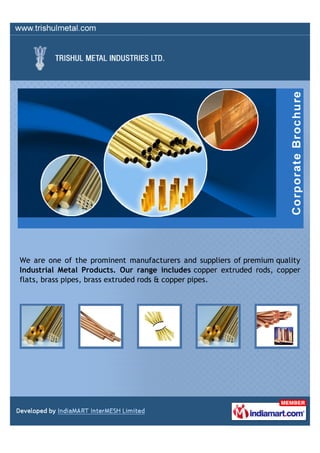 We are one of the prominent manufacturers and suppliers of premium quality
Industrial Metal Products. Our range includes copper extruded rods, copper
flats, brass pipes, brass extruded rods & copper pipes.
 