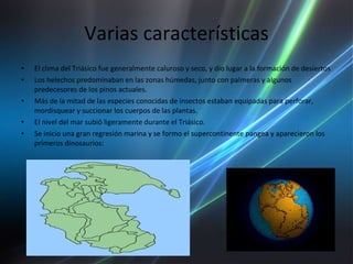 Varias características El clima del Triásico fue generalmente caluroso y seco, y dio lugar a la formación de desiertos Los helechos predominaban en las zonas húmedas, junto con palmeras y algunos predecesores de los pinos actuales. Más de la mitad de las especies conocidas de insectos estaban equipadas para perforar, mordisquear y succionar los cuerpos de las plantas. El nivel del mar subió ligeramente durante el Triásico. Se inicio una gran regresión marina y se formo el supercontinente pangea y aparecieron los primeros dinosaurios: 
