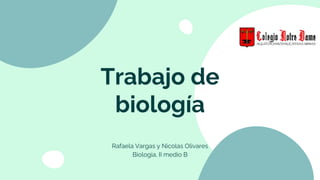 Trabajo de
biología
Rafaela Vargas y Nicolas Olivares
Biologia, II medio B
 