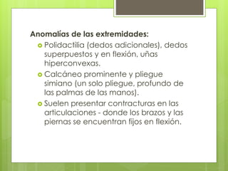 Anomalías de las extremidades: 
 Polidactilia (dedos adicionales), dedos 
superpuestos y en flexión, uñas 
hiperconvexas. 
 Calcáneo prominente y pliegue 
simiano (un solo pliegue, profundo de 
las palmas de las manos). 
 Suelen presentar contracturas en las 
articulaciones - donde los brazos y las 
piernas se encuentran fijos en flexión. 
 