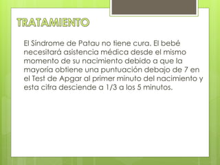 El Síndrome de Patau no tiene cura. El bebé 
necesitará asistencia médica desde el mismo 
momento de su nacimiento debido a que la 
mayoría obtiene una puntuación debajo de 7 en 
el Test de Apgar al primer minuto del nacimiento y 
esta cifra desciende a 1/3 a los 5 minutos. 
 