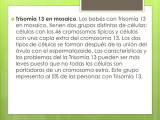  Trisomía 13 en mosaico. Los bebés con Trisomía 13 
en mosaico, tienen dos grupos distintos de células: 
células con los 46 cromosomas típicos y células 
con una copia extra del cromosoma 13. Los dos 
tipos de células se forman después de la unión del 
óvulo con el espermatozoide. Las características y 
los problemas del la Trisomía 13 pueden ser más 
leves puesto que no todas las células son 
portadoras de un cromosoma extra. Este grupo 
representa al 5% de las personas con Trisomía 13. 
 