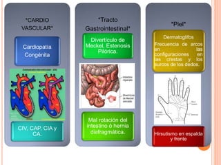 *CARDIO
VASCULAR*
Cardiopatía
Congénita
CIV, CAP, CIA y
CA.
*Tracto
Gastrointestinal*
Divertículo de
Meckel, Estenosis
Pilórica.
Mal rotación del
intestino ó hernia
diafragmática.
*Piel*
Dermatoglifos
Frecuencia de arcos
en las
configuraciones en
las crestas y los
surcos de los dedos.
Hirsutismo en espalda
y frente
 