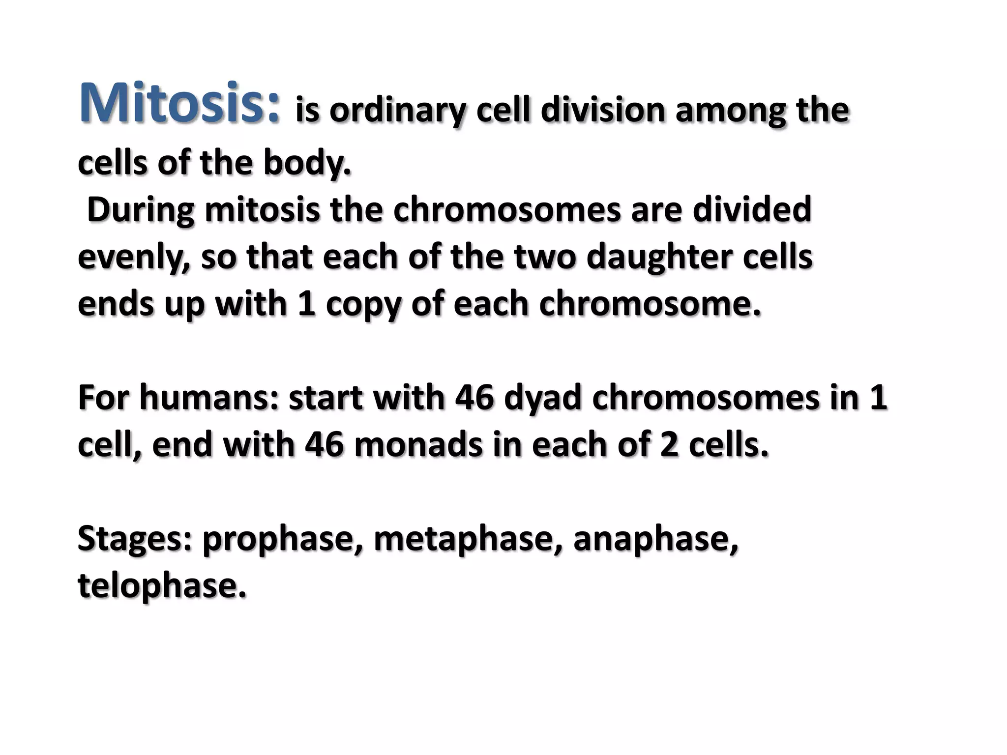Mitosis: is ordinary cell division among the
cells of the body.
During mitosis the chromosomes are divided
evenly, so that each of the two daughter cells
ends up with 1 copy of each chromosome.
For humans: start with 46 dyad chromosomes in 1
cell, end with 46 monads in each of 2 cells.
Stages: prophase, metaphase, anaphase,
telophase.
 