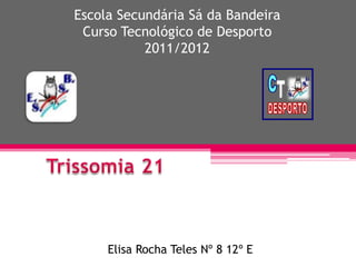 Escola Secundária Sá da Bandeira
 Curso Tecnológico de Desporto
           2011/2012




     Elisa Rocha Teles Nº 8 12º E
 