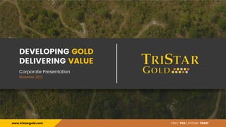 DEVELOPING GOLD
DELIVERING VALUE
Corporate Presentation
November 2022
TSXV: TSG | OTCQX: TSGZF
www.tristargold.com
 