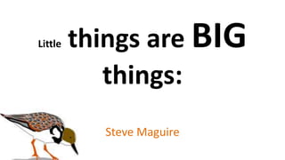 Little things are BIG
things:
Steve Maguire
 