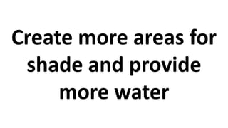 Create more areas for
shade and provide
more water
 