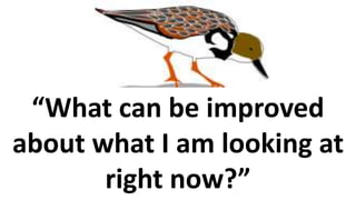 “What can be improved
about what I am looking at
right now?”
 