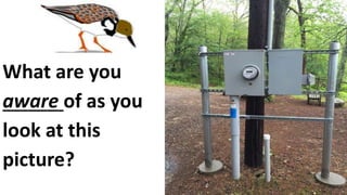 What are you
aware of as you
look at this
picture?
 