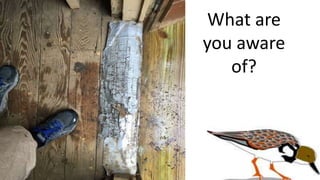 What are
you aware
of?
 