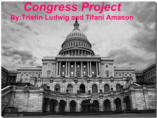 Congress Project By:Tristin Ludwig and Tifani Amason 