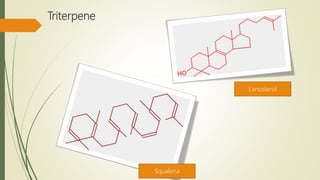 Triterpene
SQUALENA
Squalena
Lanosterol
 