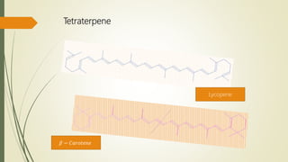 Tetraterpene
Lycopene
𝛽 − 𝐶𝑎𝑟𝑜𝑡𝑒𝑛𝑒
 