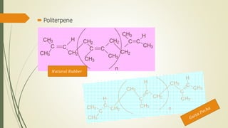  Politerpene
𝑁𝑎𝑡𝑢𝑟𝑎𝑙 𝑅𝑢𝑏𝑏𝑒𝑟
 