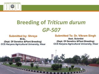 Submitted To: Dr. Vikram Singh
Asst. Scientist
(Dept. Of Genetics &Plant Breeding)
CCS Haryana Agricultural University, Hisar
Submitted by: Shreya
M.Sc.
(Dept. Of Genetics &Plant Breeding)
CCS Haryana Agricultural University, Hisar
 