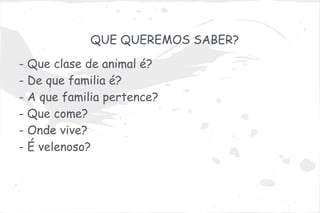 QUE QUEREMOS SABER?

- Que clase de animal é?
- De que familia é?
- A que familia pertence?
- Que come?
- Onde vive?
- É velenoso?
 