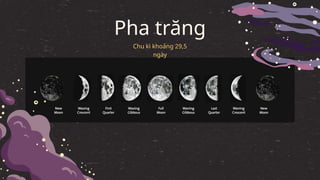 Pha trăng
Chu kì khoảng 29,5
ngày
 