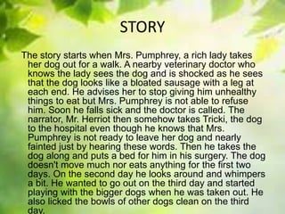 STORY
The story starts when Mrs. Pumphrey, a rich lady takes
her dog out for a walk. A nearby veterinary doctor who
knows the lady sees the dog and is shocked as he sees
that the dog looks like a bloated sausage with a leg at
each end. He advises her to stop giving him unhealthy
things to eat but Mrs. Pumphrey is not able to refuse
him. Soon he falls sick and the doctor is called. The
narrator, Mr. Herriot then somehow takes Tricki, the dog
to the hospital even though he knows that Mrs.
Pumphrey is not ready to leave her dog and nearly
fainted just by hearing these words. Then he takes the
dog along and puts a bed for him in his surgery. The dog
doesn't move much nor eats anything for the first two
days. On the second day he looks around and whimpers
a bit. He wanted to go out on the third day and started
playing with the bigger dogs when he was taken out. He
also licked the bowls of other dogs clean on the third
day.
 