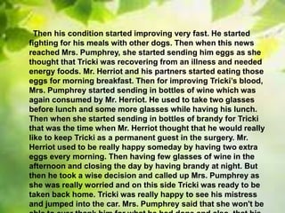 Then his condition started improving very fast. He started
fighting for his meals with other dogs. Then when this news
reached Mrs. Pumphrey, she started sending him eggs as she
thought that Tricki was recovering from an illness and needed
energy foods. Mr. Herriot and his partners started eating those
eggs for morning breakfast. Then for improving Tricki’s blood,
Mrs. Pumphrey started sending in bottles of wine which was
again consumed by Mr. Herriot. He used to take two glasses
before lunch and some more glasses while having his lunch.
Then when she started sending in bottles of brandy for Tricki
that was the time when Mr. Herriot thought that he would really
like to keep Tricki as a permanent guest in the surgery. Mr.
Herriot used to be really happy someday by having two extra
eggs every morning. Then having few glasses of wine in the
afternoon and closing the day by having brandy at night. But
then he took a wise decision and called up Mrs. Pumphrey as
she was really worried and on this side Tricki was ready to be
taken back home. Tricki was really happy to see his mistress
and jumped into the car. Mrs. Pumphrey said that she won't be
 
