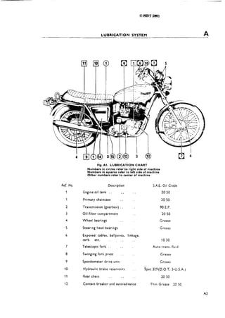 Triumph tridentt160workshopmanual