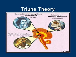 Triune TheoryTriune Theory
 