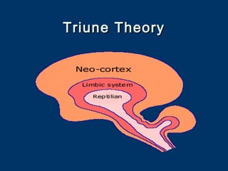 Triune TheoryTriune Theory
 