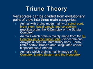 Triune TheoryTriune Theory
Vertebrates can be divided from evolutionaryVertebrates can be divided from evolutionary
point of view into three main categories:point of view into three main categories:
1.1. Animal with brains made mainly ofAnimal with brains made mainly of spinal cord,spinal cord,
brain stem, basal ganglia and cerebellumbrain stem, basal ganglia and cerebellum
((reptilian brainreptilian brain, the, the R-ComplexR-Complex or theor the StriatalStriatal
ComplexComplex))
2.2. Animals which brain is mainly made from theAnimals which brain is mainly made from the R-R-
Complex plus the limbic LobeComplex plus the limbic Lobe (diencephalons,(diencephalons,
Amygdala, septum, Mammillary body, Fornix,Amygdala, septum, Mammillary body, Fornix,
limbic cortex: Broca’s area, cingulated cortex,limbic cortex: Broca’s area, cingulated cortex,
hippocampus & others)hippocampus & others)
3.3. Animals which brain is mainly made of:Animals which brain is mainly made of: R-R-
Complex, Limbic System and the NeocortexComplex, Limbic System and the Neocortex
 