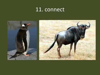 11. connect