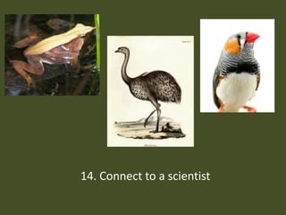 14. Connect to a scientist