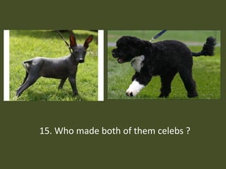 15. Who made both of them celebs ?