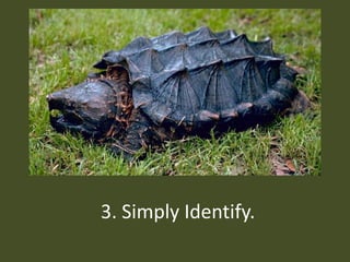 3. Simply Identify.