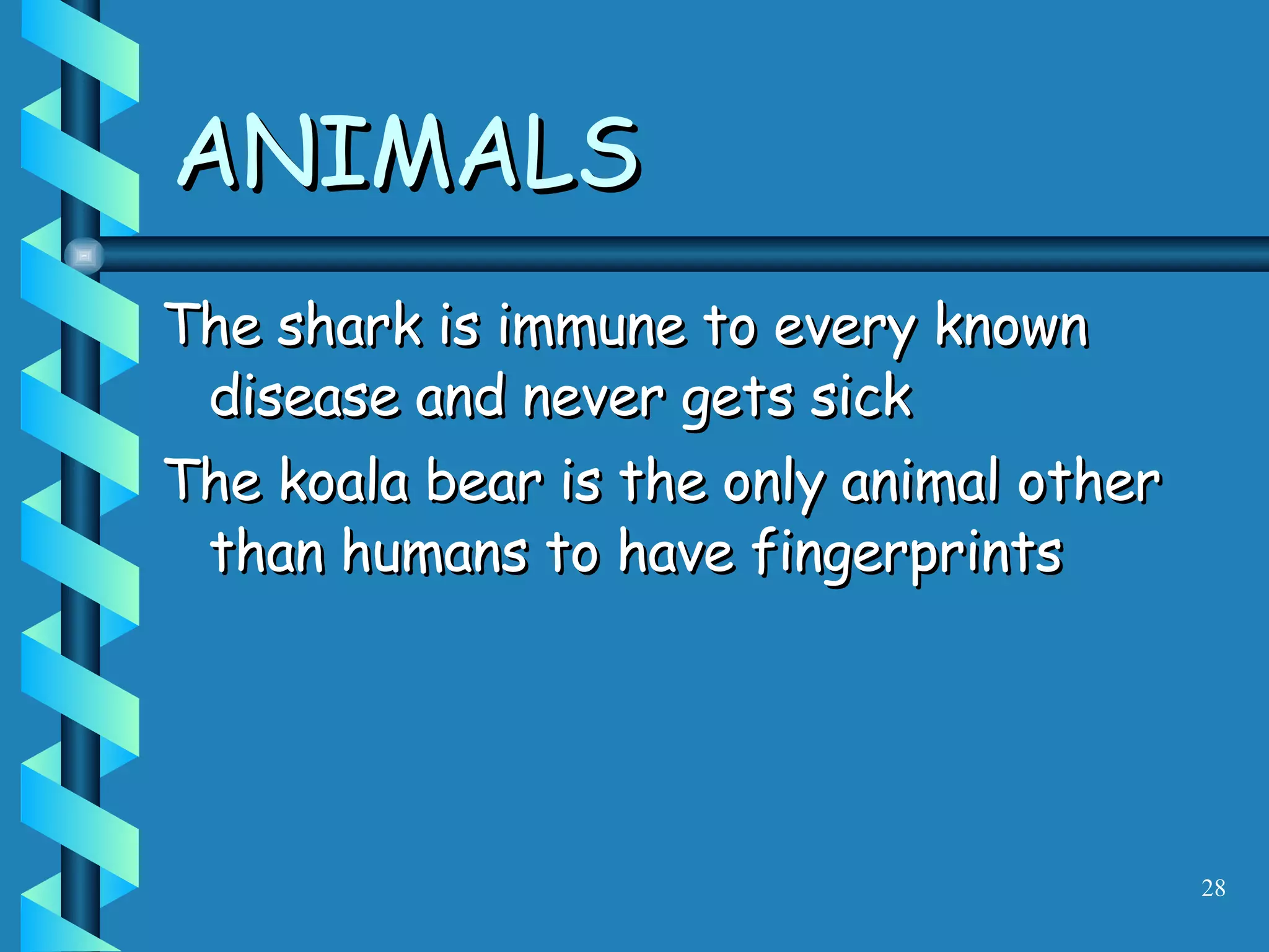 The shark is immune to every known disease and never gets sick The koala bear is the only animal other than humans to have fingerprints ANIMALS 