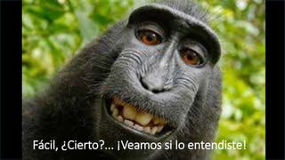 Fácil, ¿Cierto?... ¡Veamos si lo entendiste!
 