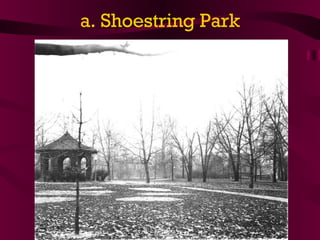 a. Shoestring Park 
