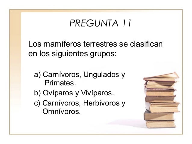 preguntas faciles sobre animales tr 237 vial animales preguntas faciles sobre animales tr 237 vial animales