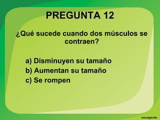 PREGUNTA 12PREGUNTA 12
¿Qué sucede cuando dos músculos se
contraen?
a) Disminuyen su tamaño
b) Aumentan su tamaño
c) Se rompen
 