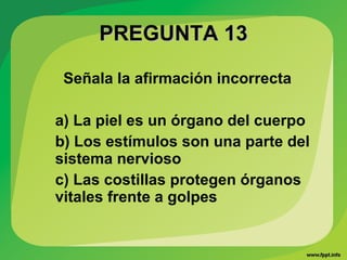 PREGUNTA 13PREGUNTA 13
Señala la afirmación incorrecta
a) La piel es un órgano del cuerpo
b) Los estímulos son una parte del
sistema nervioso
c) Las costillas protegen órganos
vitales frente a golpes
 