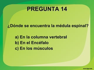 PREGUNTA 14PREGUNTA 14
¿Dónde se encuentra la médula espinal?
a) En la columna vertebral
b) En el Encéfalo
c) En los músculos
 