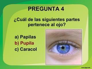 PREGUNTA 4PREGUNTA 4
¿Cuál de las siguientes partes
pertenece al ojo?
a) Papilas
b) Pupila
c) Caracol
 