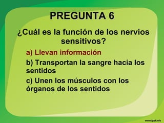 PREGUNTA 6PREGUNTA 6
¿Cuál es la función de los nervios
sensitivos?
a) Llevan información
b) Transportan la sangre hacia los
sentidos
c) Unen los músculos con los
órganos de los sentidos
 
