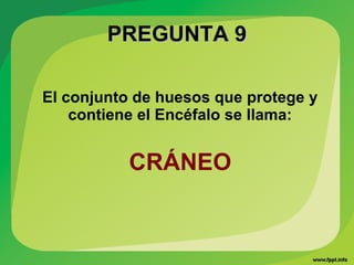 PREGUNTA 9PREGUNTA 9
El conjunto de huesos que protege y
contiene el Encéfalo se llama:
CRÁNEO
 