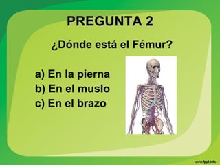 PREGUNTA 2PREGUNTA 2
¿Dónde está el Fémur?
a) En la pierna
b) En el muslo
c) En el brazo
 