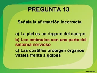 PREGUNTA 13PREGUNTA 13
Señala la afirmación incorrecta
a) La piel es un órgano del cuerpo
b) Los estímulos son una parte del
sistema nervioso
c) Las costillas protegen órganos
vitales frente a golpes
 