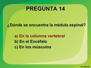 PREGUNTA 14PREGUNTA 14
¿Dónde se encuentra la médula espinal?
a) En la columna vertebral
b) En el Encéfalo
c) En los músculos
 